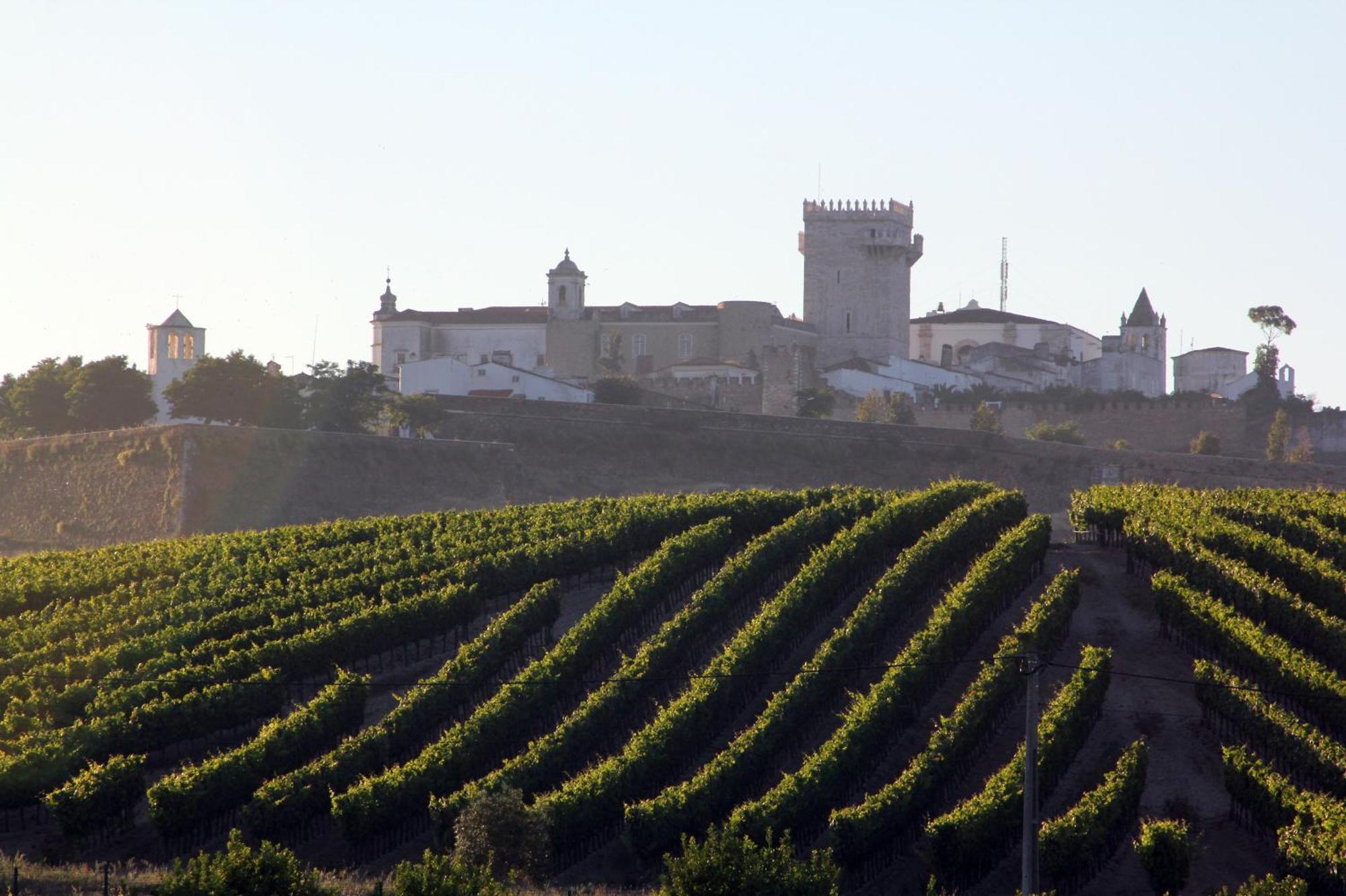 Pateo Dos Solares Charm Hotel Estremoz Esterno foto